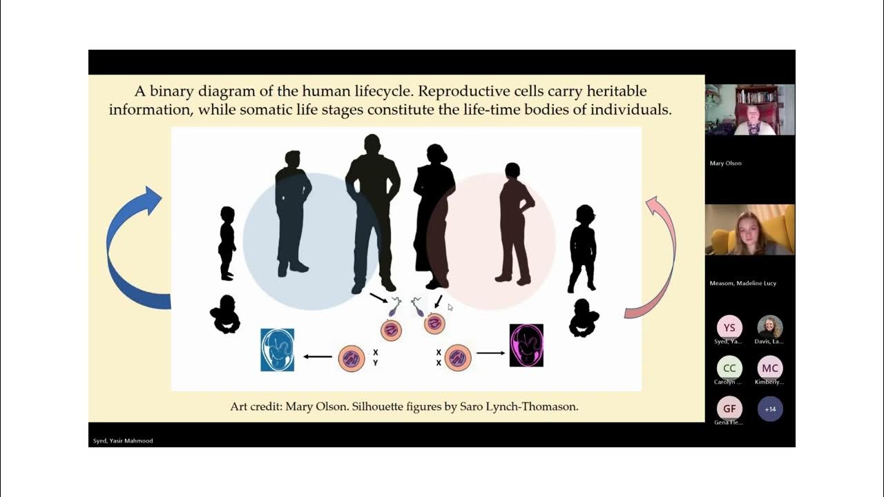 Climate Change Pollution Reproduction